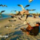 سریال زندگی در بهشت | قسمت ١42